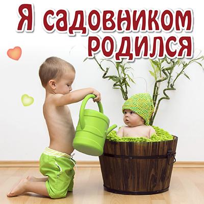 Правила игры «Я садовником родился»