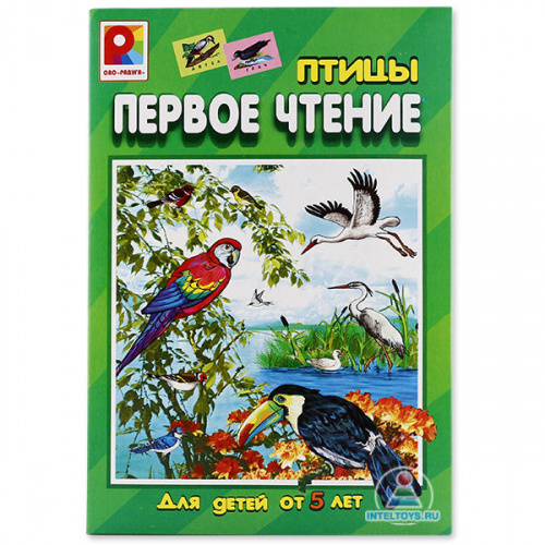 Настольная игра для обучения чтению «Первое чтение. Птицы», Радуга