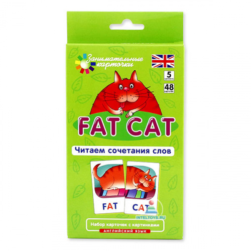 Занимательные карточки «Fat Cat: Читаем сочетания слов» (уровень 5), Айрис-Пресс
