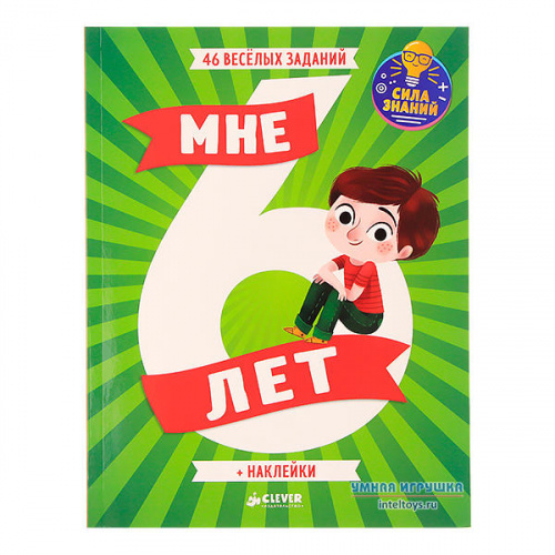 Книга заданий «Мне 6 лет – Развивайся и играй» с наклейками, Clever (Клевер)
