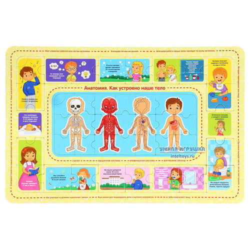 Развивающий пазл «Анатомия», Malamalama (Маламалама)