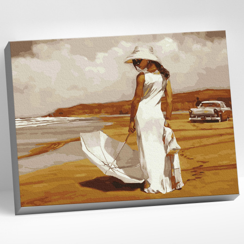 В стиле ретро Картина по номерам 40*50 Molly