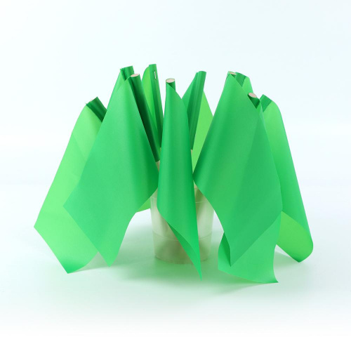 Детские флажки на деревянной палочке Ecoved (Эковед), зеленые (10 штук)