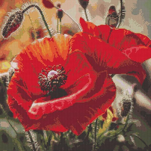 МАКИ Картины мозаикой 30*30 Molly без подрамника