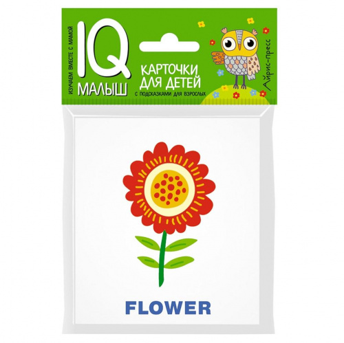 Карточки «Умный малыш English – Растения», Айрис-Пресс
