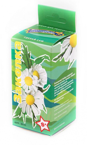 Ромашки Заколка Набор для творчества