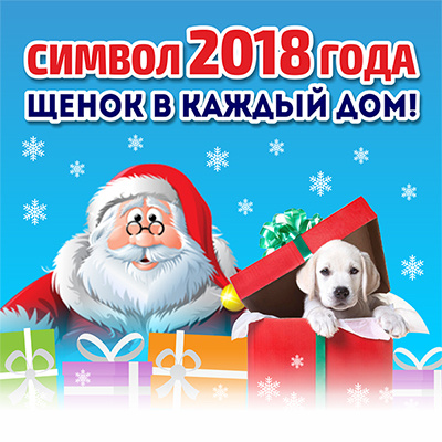 6.12.2018. Символы Нового года с А.Котельниковым