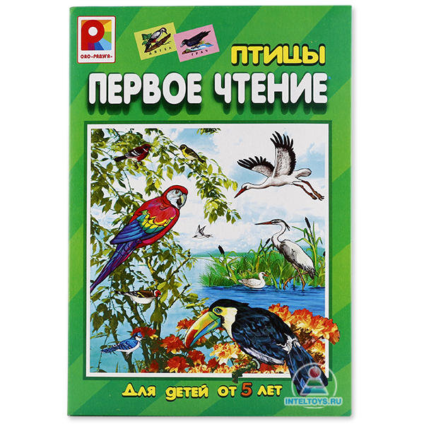 Настольная игра для обучения чтению «Первое чтение. Птицы», Радуга