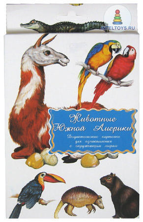 Дидактические карточки «Животные Южной Америки»