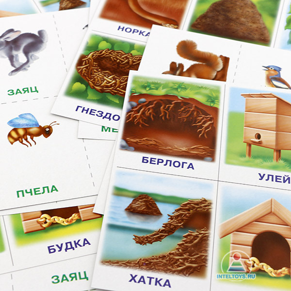 Дидактическая игра «Кто где живет?» фото 4