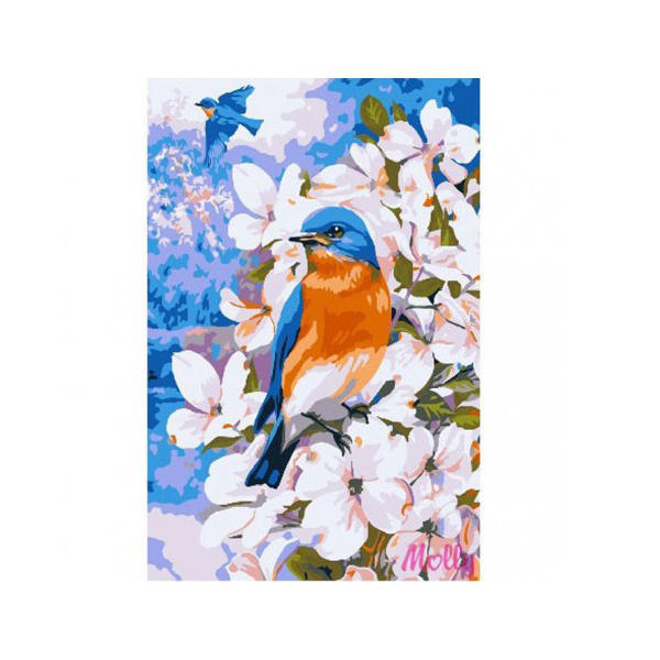 Картинки птицы весной для детского сада и для школы.