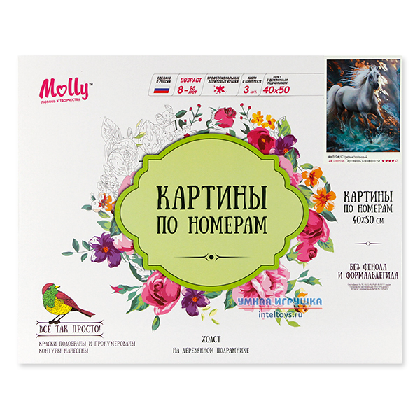 Картина «Стремительный» по номерам, 40х50 см, Molly (Молли) фото 1