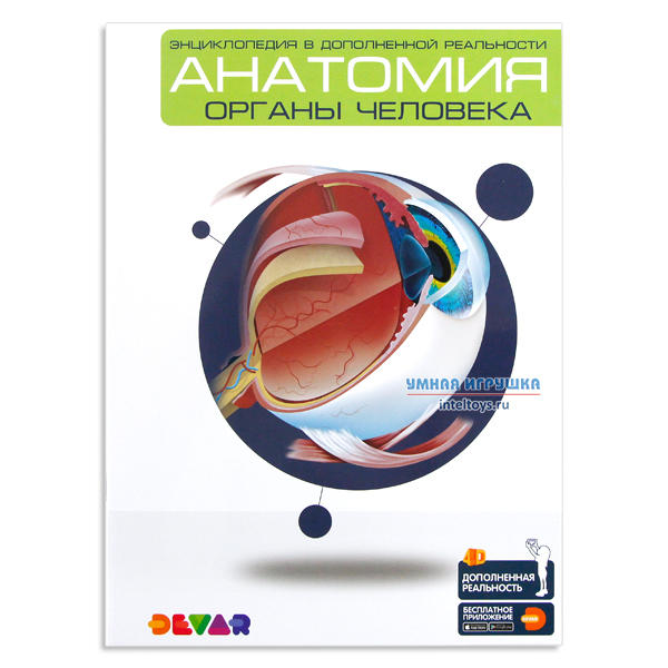 Энциклопедия 4D «Анатомия – органы человека», Devar Kids (Девар Кидс)