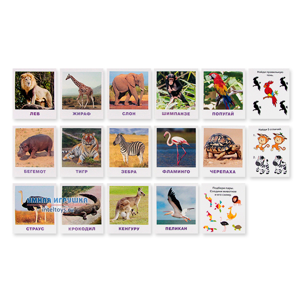 Животные жарких стран для дошкольников картинки с названиями