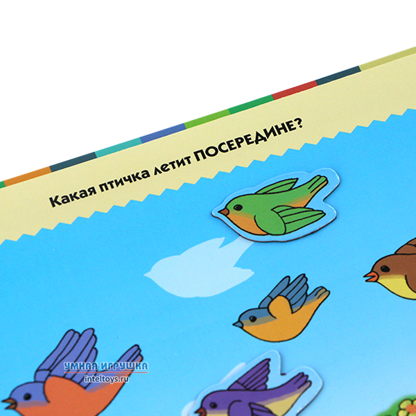 картина для детей для ориентировки в пространстве. упражнения по ориентировке в книге и книгах. носов витя малеев в школе и дома количество страниц. ориентировка в книге обложка оглавление иллюстрации. ориентировка в книге обложка оглавление иллюстрации.