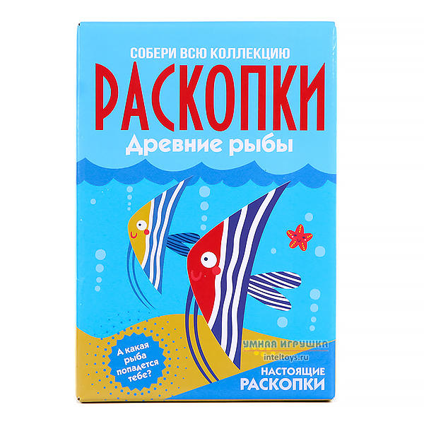 Большой набор «Древние рыбы» для проведения раскопок, Bumbaram (Бумбарам)