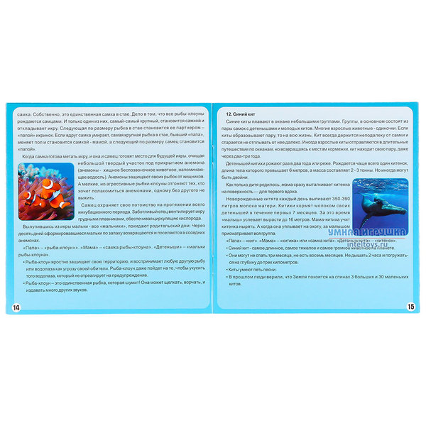 Настольная игра «Ми ми Мемо – Морские животные», Нескучные игры фото 8