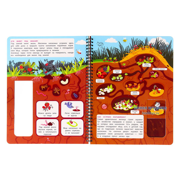 Книга «Что там под землей», Malamalama (Маламалама) фото 2