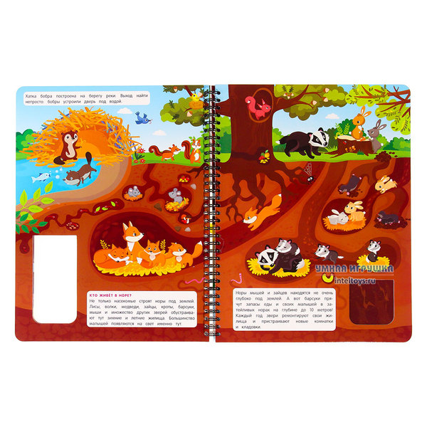 Книга «Что там под землей», Malamalama (Маламалама) фото 3