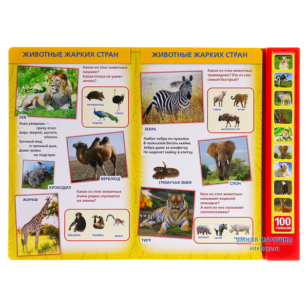 Животные 100 фактов энциклопедия. Книги 100 животных. Книги 100 животных. Энциклопедия умка лесные животные. Энциклопедия 100 вопросов и ответов животные.