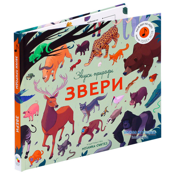 Книга Звуки природы фото 2