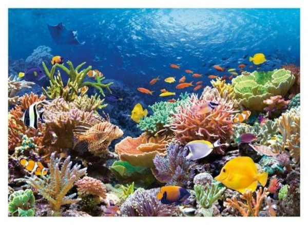 Коралловый риф 1000 эл фото 1