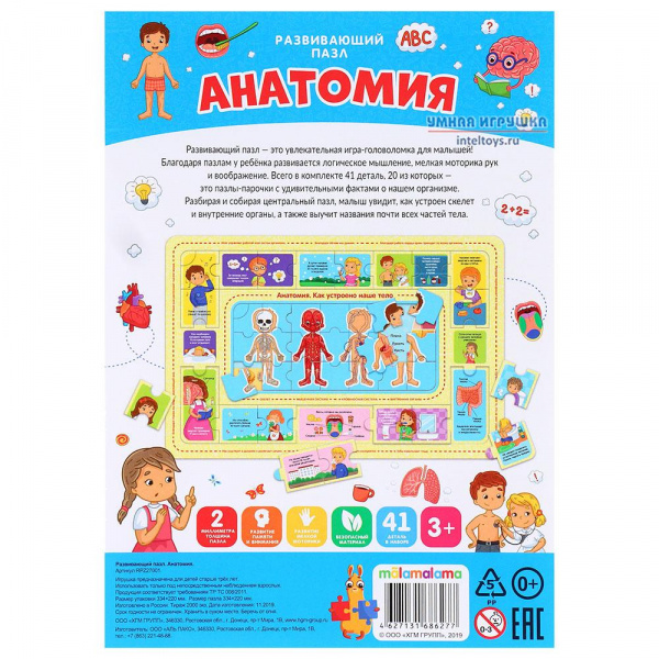 Пазл Анатомия фото 5