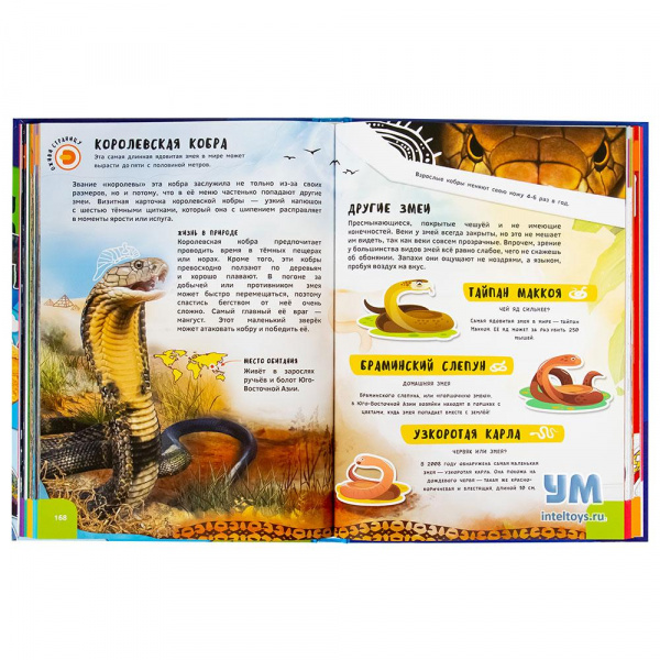 большая энциклопедия с дополненной реальностью devar. гигантская детская энциклопедия 4д. энциклопедия devar в дополненной реальности лошади. энциклопедия dewar. большая энциклопедия в дополненной реальности.