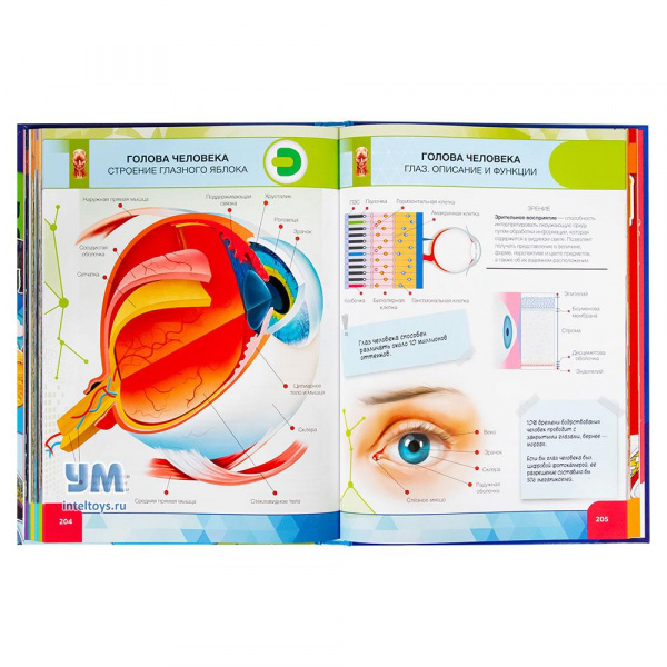 большая энциклопедия в дополненной реальности +100. большая энциклопедия в дополненной. девар большая энциклопедия с дополненной реальностью. 4д энциклопедии с дополненной реальностью аванта. 4d энциклопедия для детей.