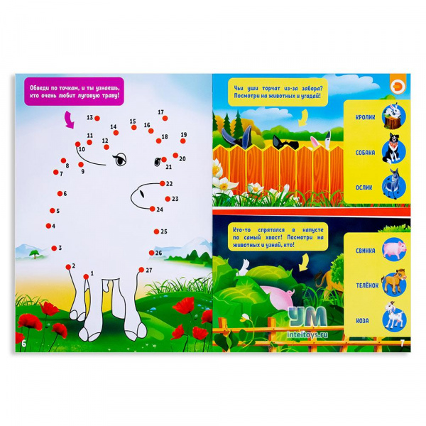 Книга Развиваем интеллект и воображение  фото 3