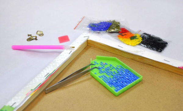 Хрупкое очарование Алмазная картина на подрамнике 40х50 фото 2