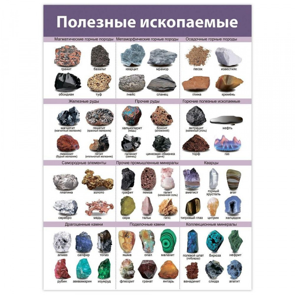 Комплект плакатов Дрофа фото 6