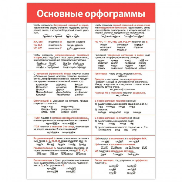 Комплект плакатов Русский язык фото 5