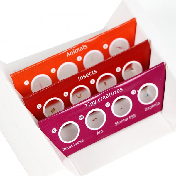 Набор микропрепаратов Levenhuk фото 1