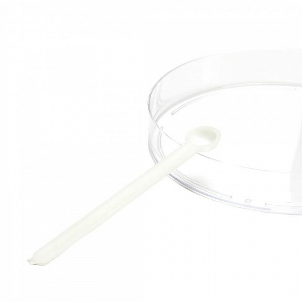 Лаборатория экспериментов Химия фото 8