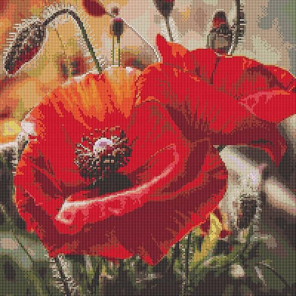 МАКИ Картины мозаикой 30*30 Molly без подрамника