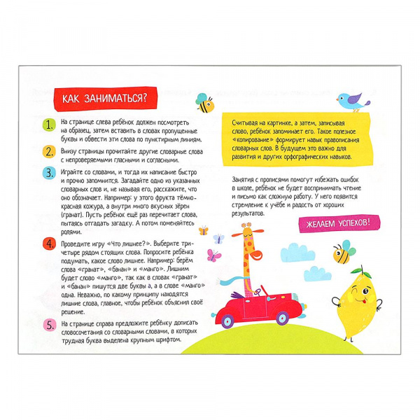 IQ-прописи Учимся писать словарные слова  фото 2