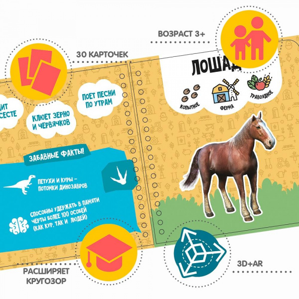 Изучаем диких и домашних животных  фото 4