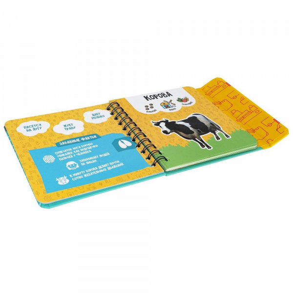 Изучаем диких и домашних животных  фото 9