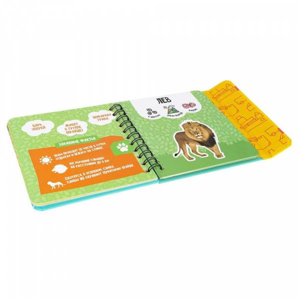 Изучаем диких и домашних животных  фото 10