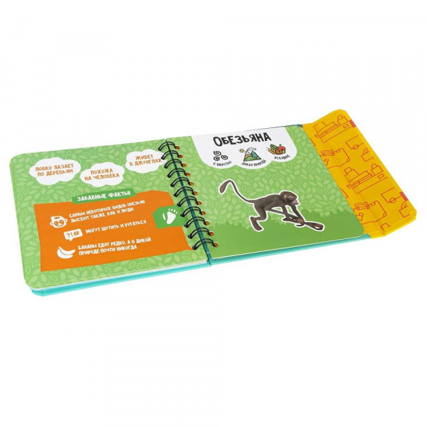 Изучаем диких и домашних животных  фото 11