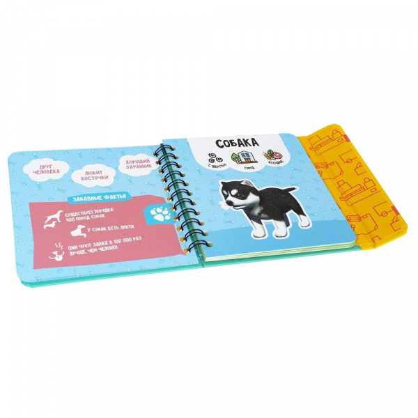 Изучаем диких и домашних животных  фото 12