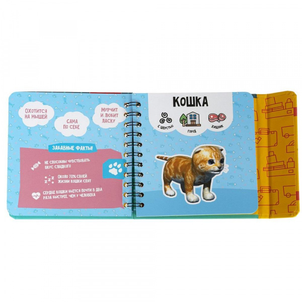 Изучаем диких и домашних животных  фото 13