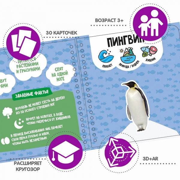 Изучаем плавающих и летающих животных фото 4