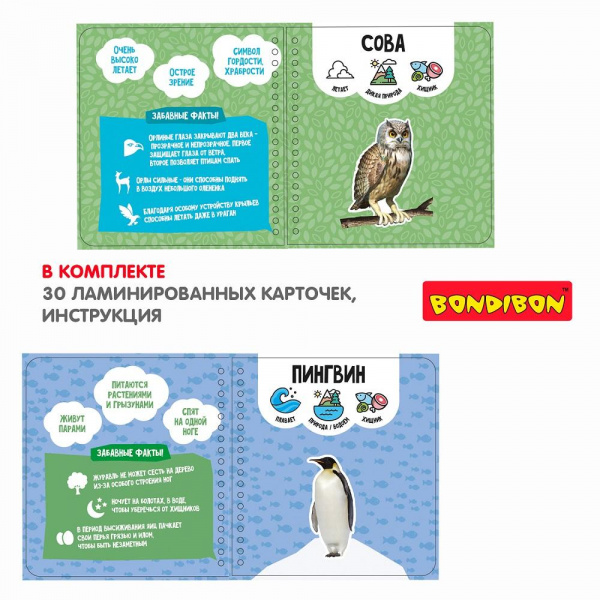 Изучаем плавающих и летающих животных фото 5