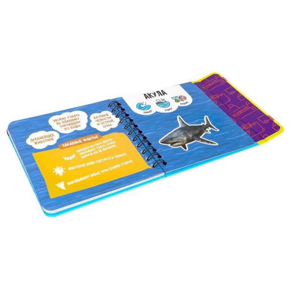 Изучаем плавающих и летающих животных фото 9