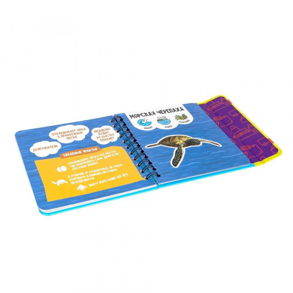 Изучаем плавающих и летающих животных фото 10