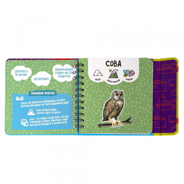 Изучаем плавающих и летающих животных фото 12