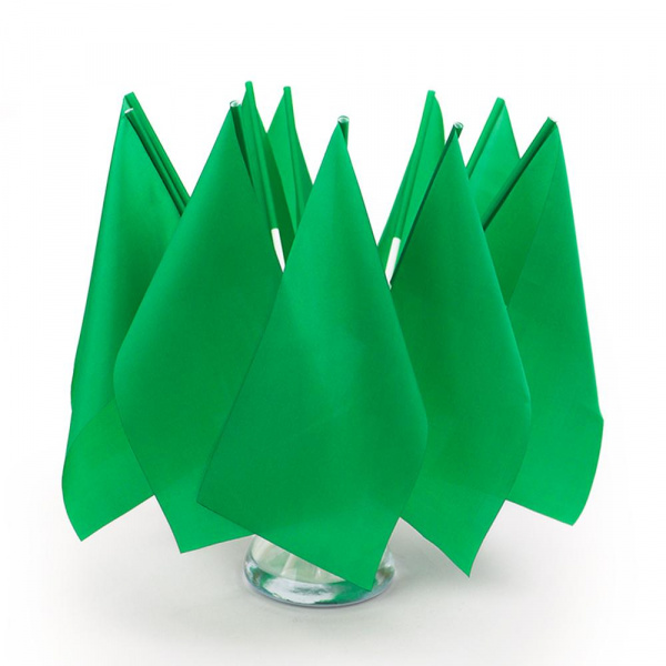 Флажки на пластиковой палочке зеленые фото 4