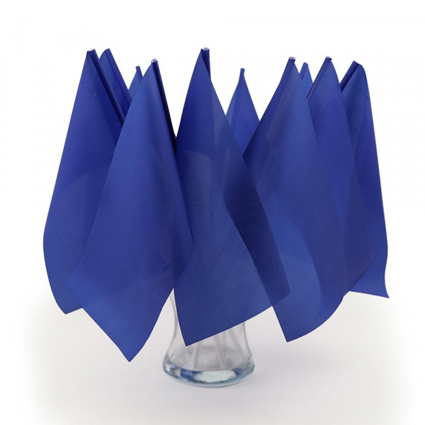 Флажки на пластиковой палочке синие фото 4